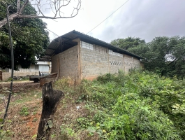 Galpao